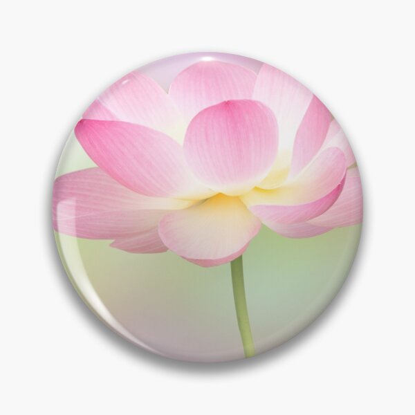 Artikelvorschau, Pink Lotus, lieb zu Shree Lakshmi, der Göttin des Reichtums. entworfen und verkauft von TJ Devadatta Best.