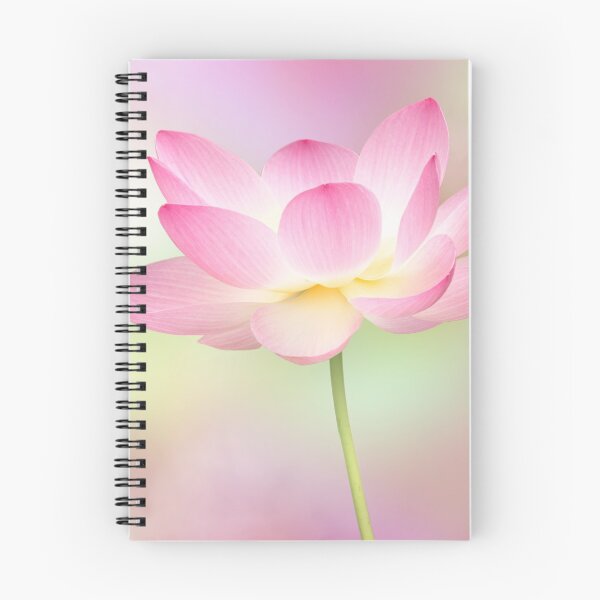 Item preview, Pink Lotus, Dear To Shree Lakshmi, The Goddess Of Wealth. designed and sold by TJ Devadatta Best.