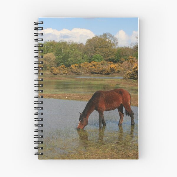 Item preview, Setley Pond designed and sold by RedHillDigital.