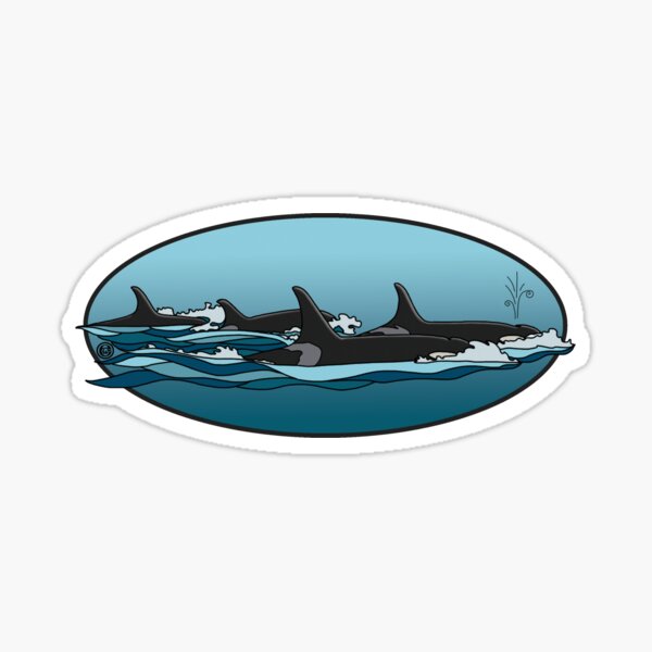 Orca Sticker
