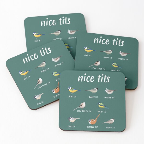 Bird watching Gift Funny Ornitology Nice tits Coasters (Set of 4) for Sale  by ISleepSimple