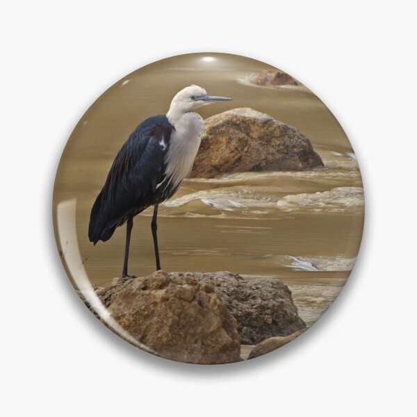 Item preview, White-necked Heron  designed and sold by Robert Elliott.