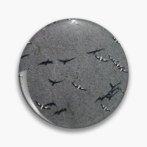 Item preview, dry lake designed and sold by victor.