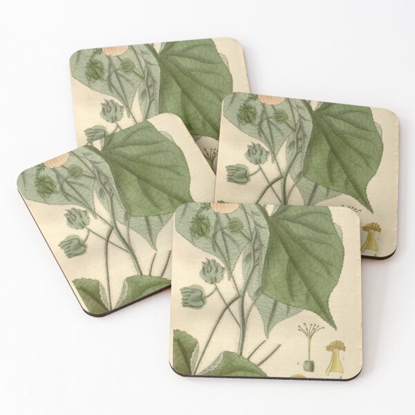 Item preview, Curtis's botanical magazine (Plate 2759) (8611155984) designed and sold by EsotericBotanic.