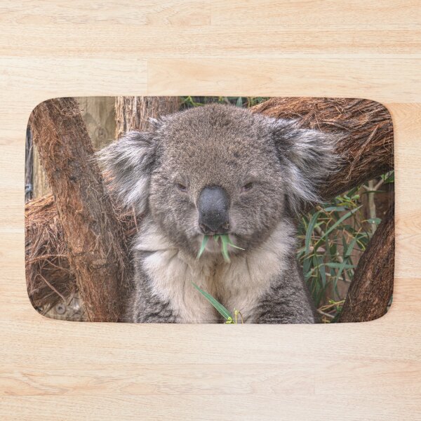 Item preview, The Contented Koala designed and sold by Steven Jodoin.