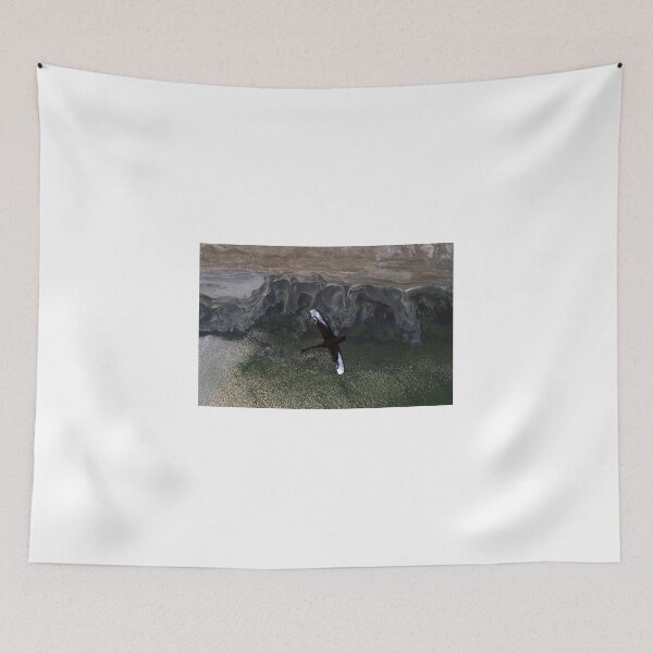 Item preview, lone swan designed and sold by victor.
