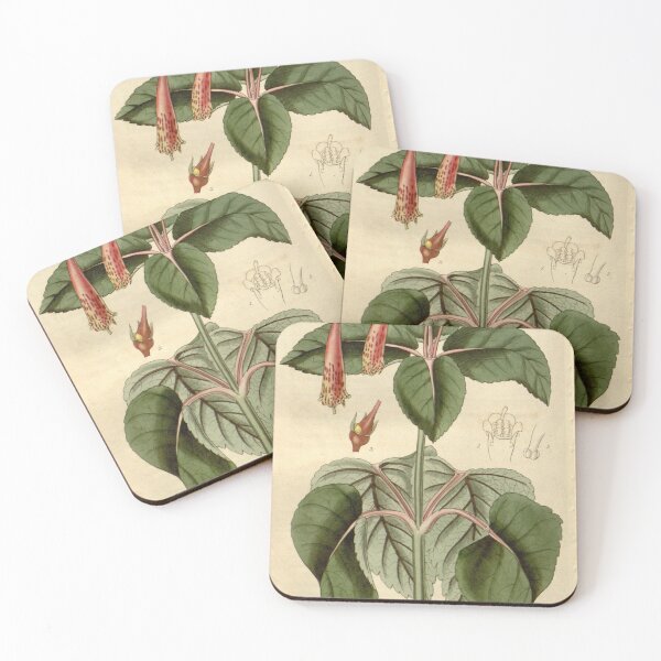 Item preview, Curtis's botanical magazine (Plate 2776) (8611177560) designed and sold by EsotericBotanic.