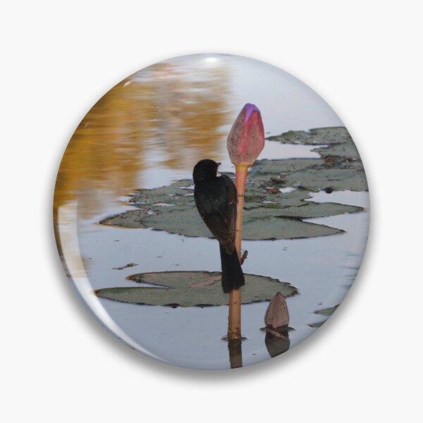 Item preview, Willie Wagtail ~ By evenings light designed and sold by Robert Elliott.