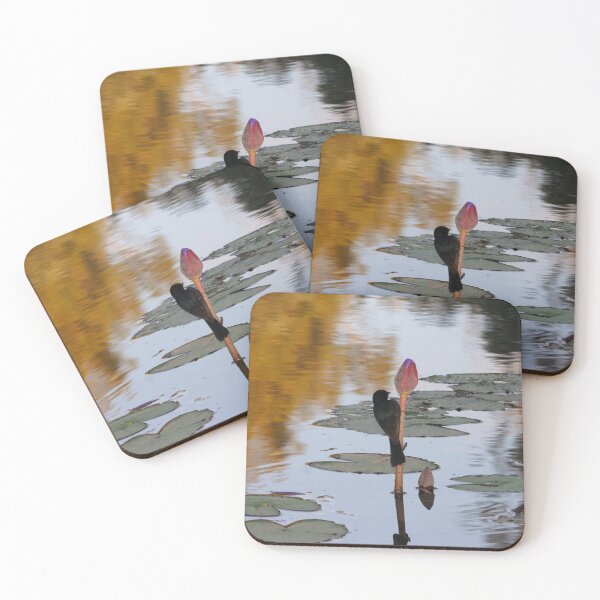 Item preview, Willie Wagtail ~ By evenings light designed and sold by Robert Elliott.
