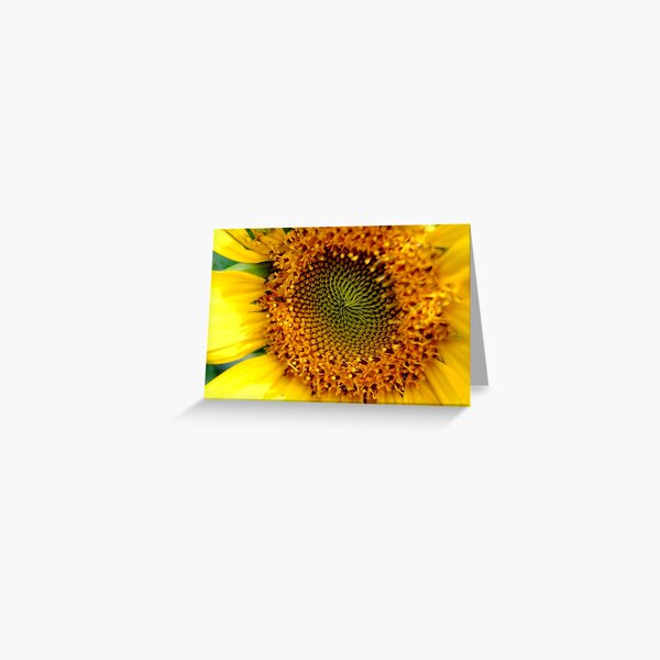 Sunny Sunflower Greeting Card