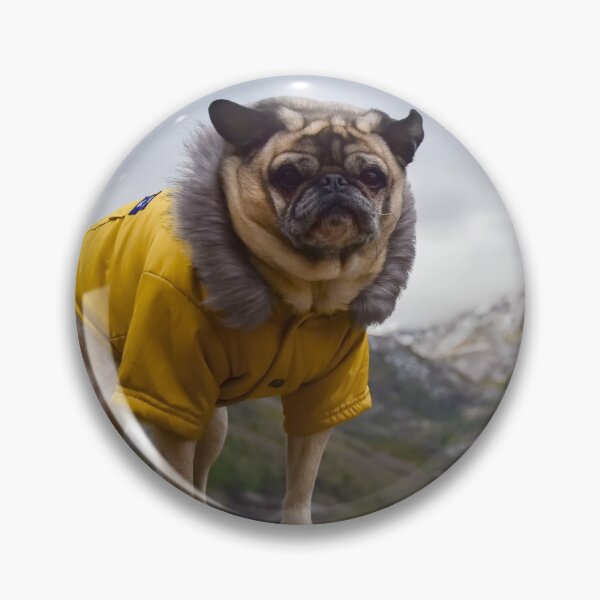 Item preview, Spread Your Wings and Snort designed and sold by pugventurephoto.