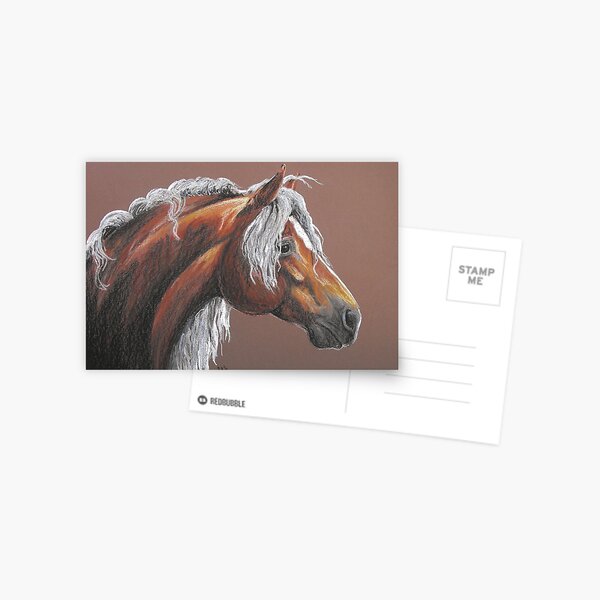Haflinger Postcard