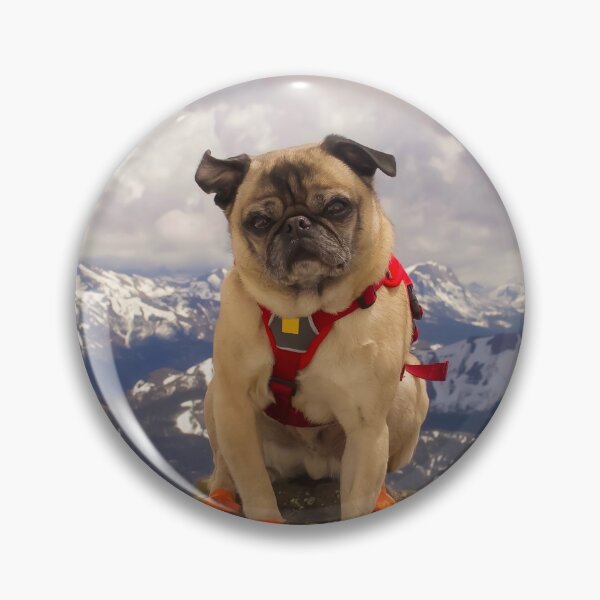 Item preview, Summit Success for Super Squishface Pug designed and sold by pugventurephoto.