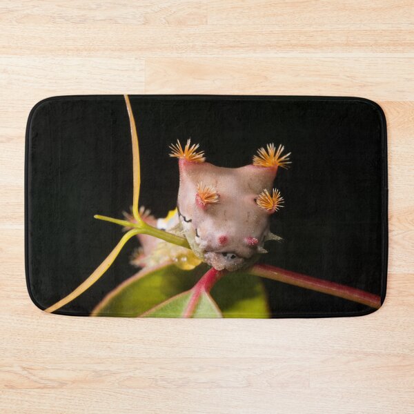 Item preview, Personal Space (Doratifera vulnerans) designed and sold by AlienMind.