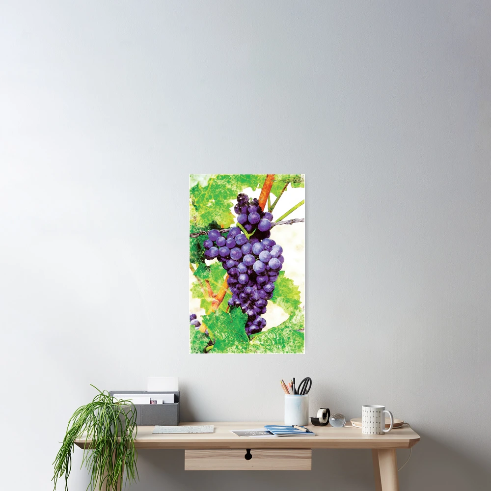 Watercolor Purple Hanging Grapes | Poster