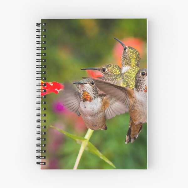 Item preview, Guarding The Zinnia designed and sold by MCHerdering Photography.