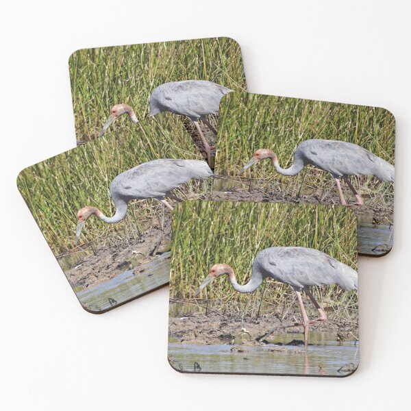 Artikelvorschau, Sarus Crane (Female) entworfen und verkauft von Robert Elliott.