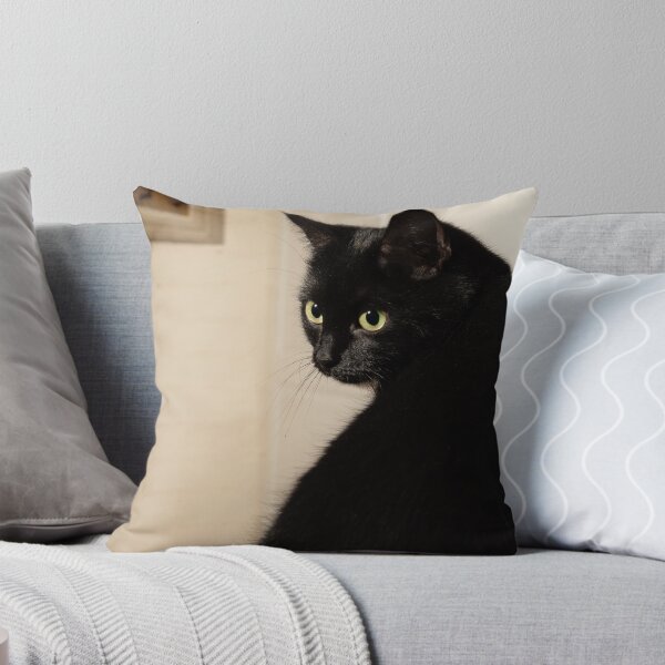 Artikelvorschau, Schwarze Katze entworfen und verkauft von Mikko Suhonen.