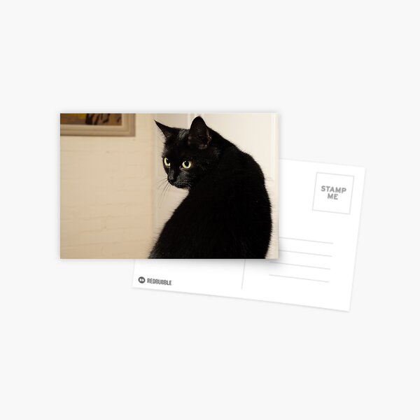 Item preview, Black cat designed and sold by Mikko  Suhonen.