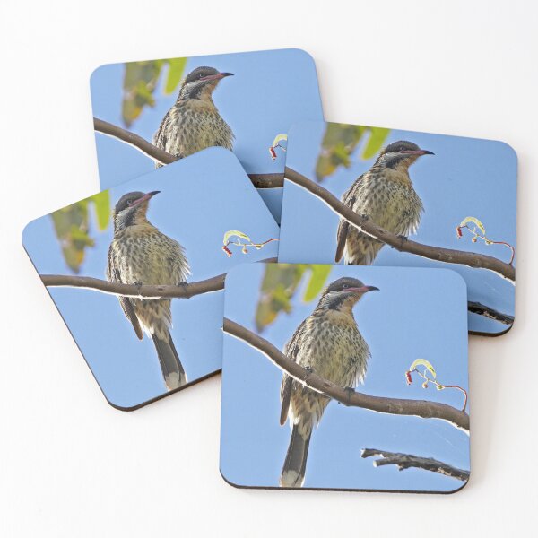 Item preview, Spiny-cheeked Honeyeater designed and sold by Robert Elliott.