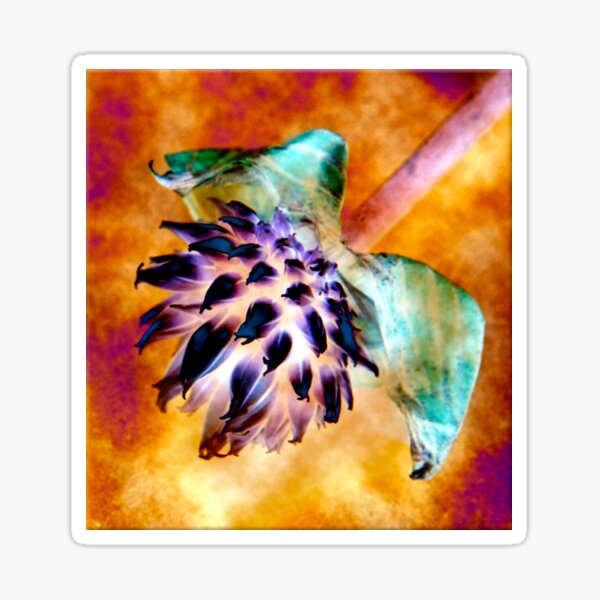 Golden Chive Flower Photo Art Sticker