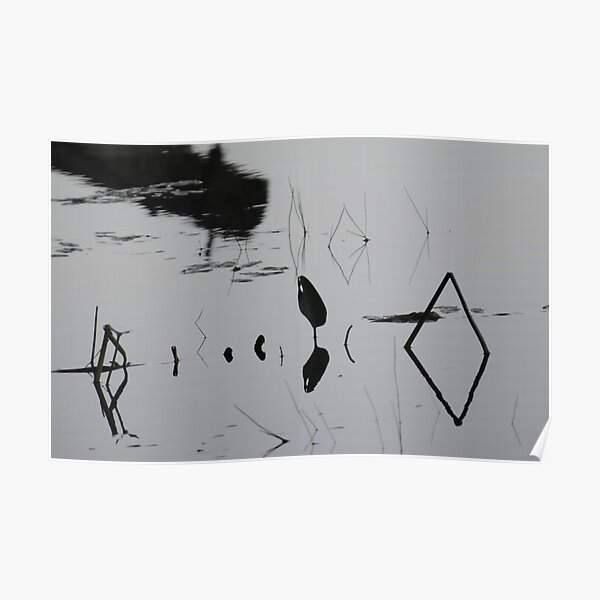 Made by Nature Poster
