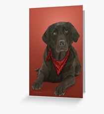 Chocolate Labrador Greeting Card