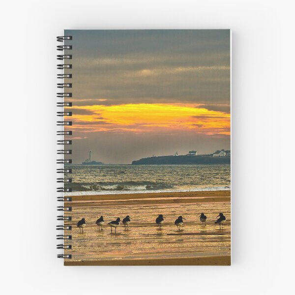 Item preview, Ostreros en la playa designed and sold by Violaman.