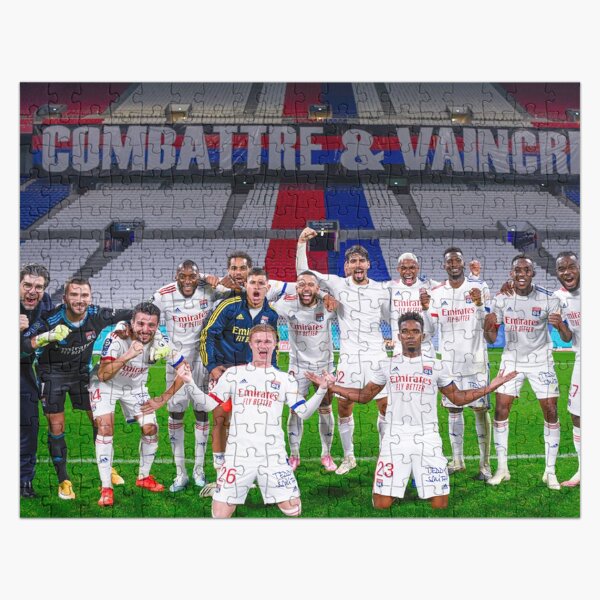 Olympique Lyonnais (Lyon) Groupama Stadium. Framed, High Quality Football Memorabilia Giclee Art Print. Ideal factory Gift For Any Lyon Supporter.