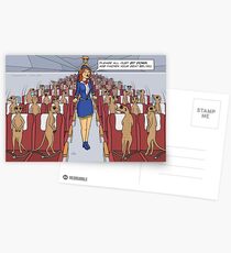 Meerkats on a Plane Postcards