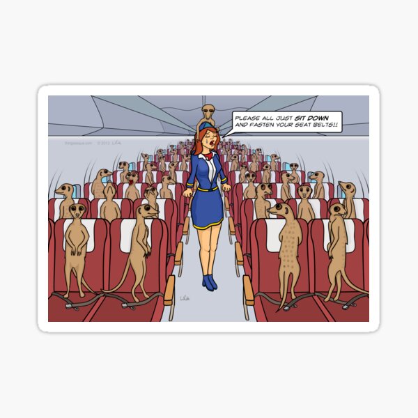 Meerkats on a Plane Sticker