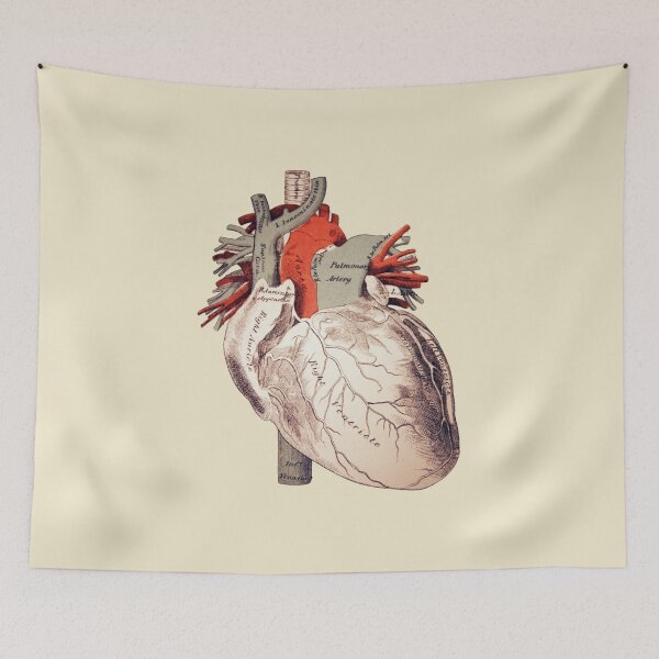 Item preview, Anatomical heart  designed and sold by Nyanko-Sempai.