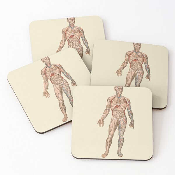 Item preview, Anatomical body designed and sold by Nyanko-Sempai.