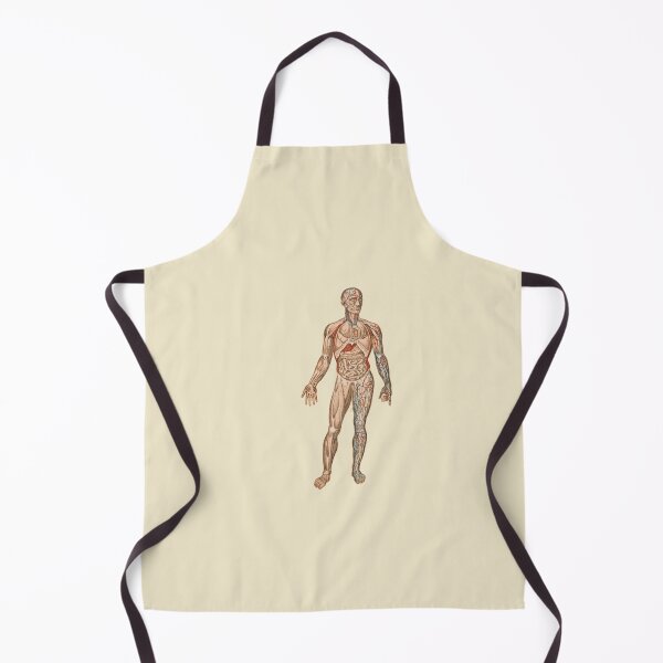 Item preview, Anatomical body designed and sold by Nyanko-Sempai.