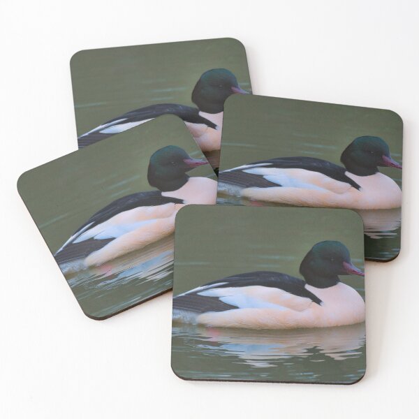 Item preview, Male Goosander on the Union Canal, Edinburgh designed and sold by RobinDHunter.