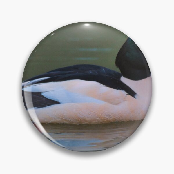Item preview, Male Goosander on the Union Canal, Edinburgh designed and sold by RobinDHunter.