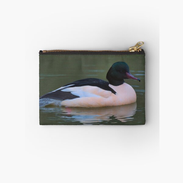 Item preview, Male Goosander on the Union Canal, Edinburgh designed and sold by RobinDHunter.