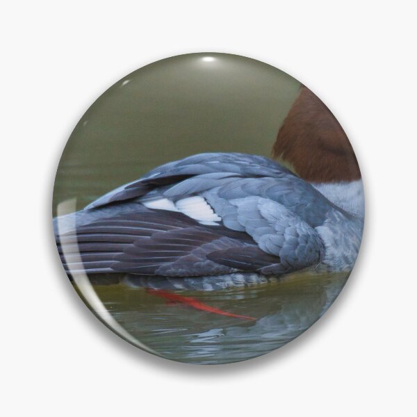 Item preview, Female Goosander on the Union Canal, Edinburgh designed and sold by RobinDHunter.