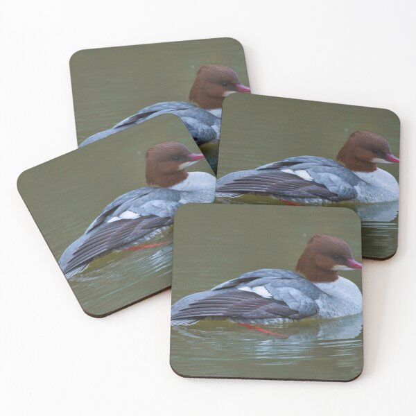 Item preview, Female Goosander on the Union Canal, Edinburgh designed and sold by RobinDHunter.