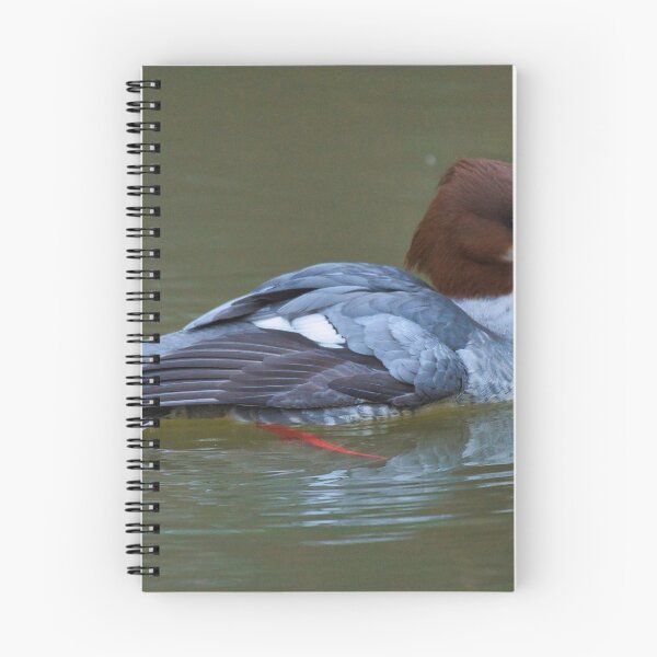 Item preview, Female Goosander on the Union Canal, Edinburgh designed and sold by RobinDHunter.