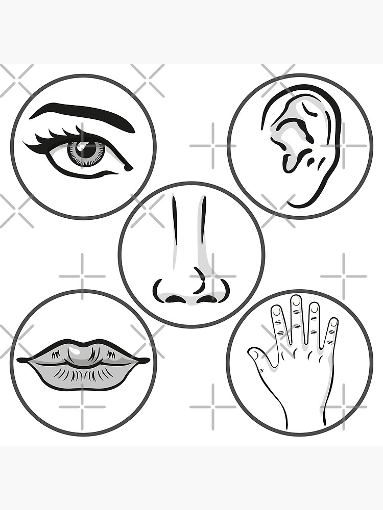 Five Human Senses, Vector Icons. Outline Illustration Of Lip, Ear, Nose,  Eye And Hand Royalty Free SVG, Cliparts, Vectors, and Stock Illustration.  Image 126945085.