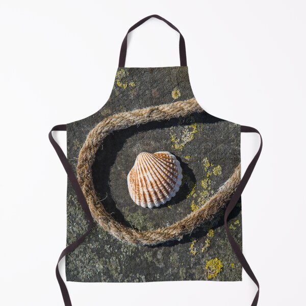 Item preview, Shell and Rope designed and sold by Dave Hare Photography.