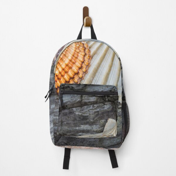 Item preview, Sea Shells on Wood designed and sold by Dave Hare Photography.