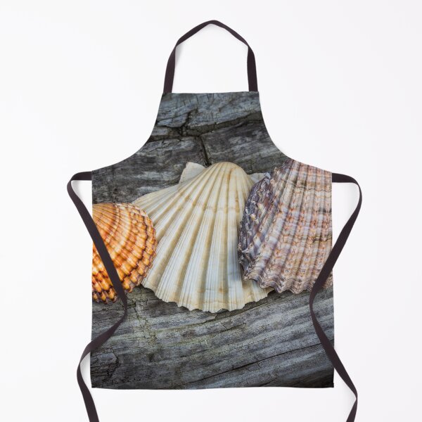 Item preview, Sea Shells on Wood designed and sold by Dave Hare Photography.