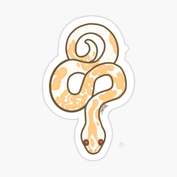 cobra albina - Pesquisa do Google  Albino animals, Cute snake, Baby snakes