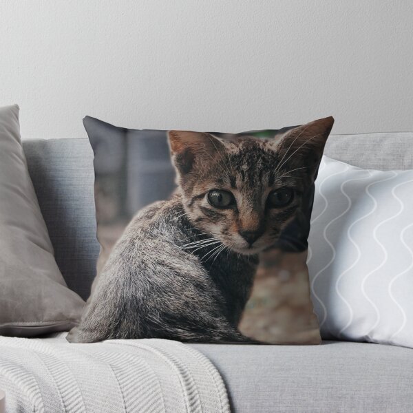 Artikelvorschau, Miau entworfen und verkauft von artsofalltrades.