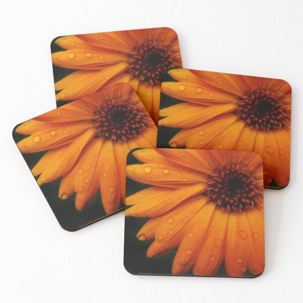 Item preview, Orange for the Win designed and sold by Just-a-Moment.