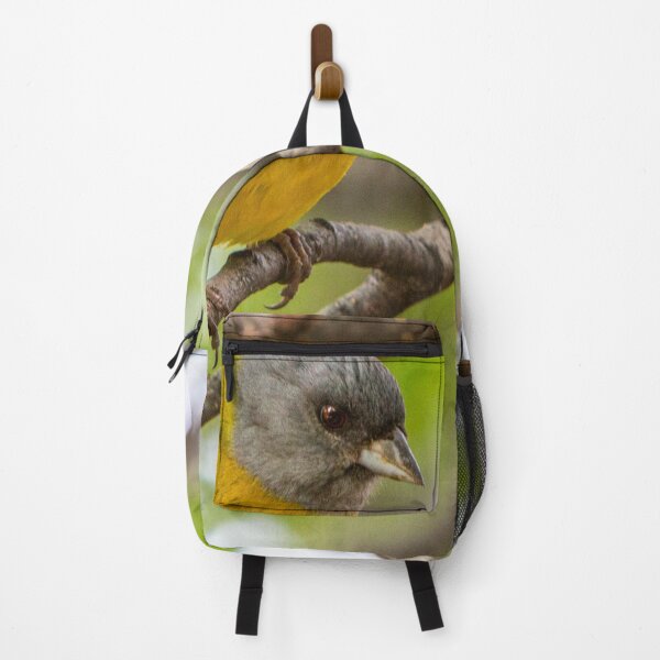 Item preview, Bird life in Patagonia. designed and sold by Dave Hare Photography.