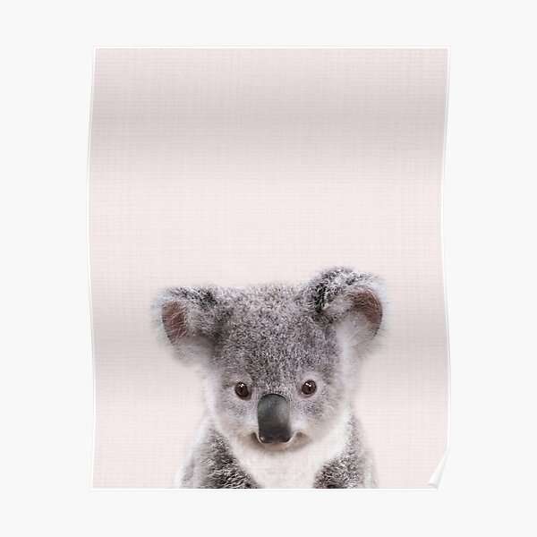 Personalised baby poster • Baby boy • Baby girl • Koala on a bike • Digital Download • Baby name poster • Baby shower gift • Child poster