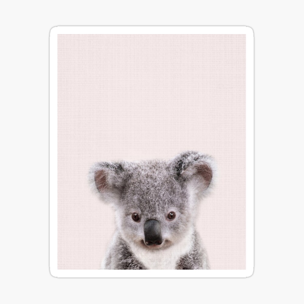 Nursery wall art. Koala. Print . Limited Edition Print Ed. 2 of 10